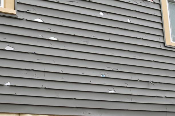 Best Siding Removal and Disposal  in Grace, ID